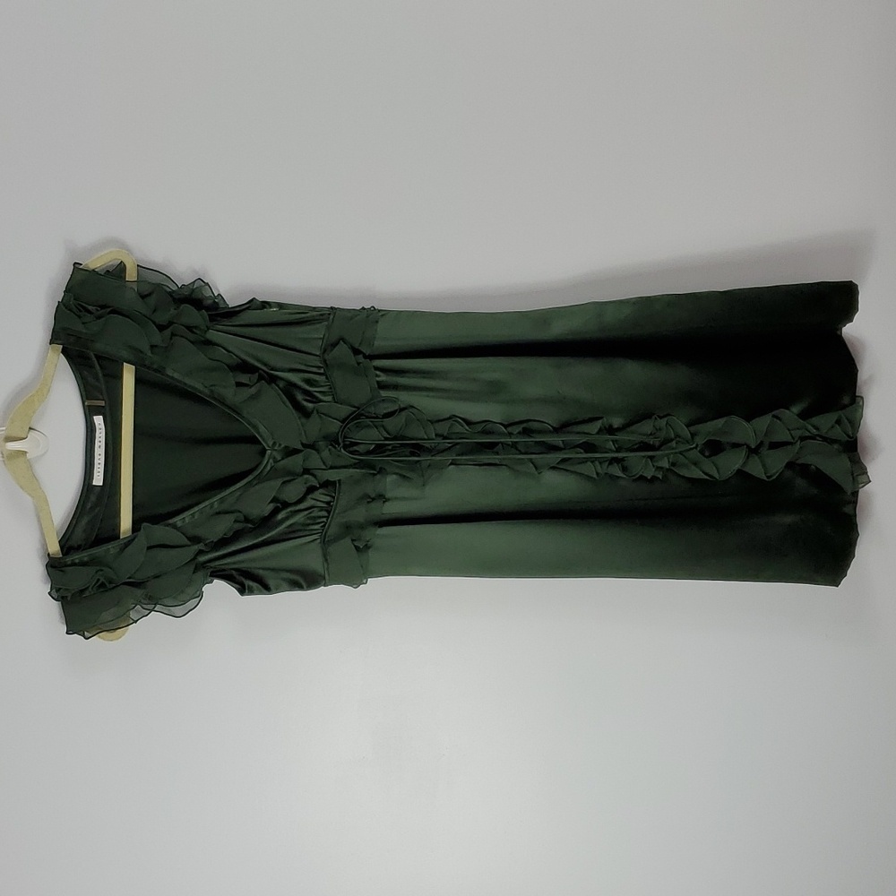 Susan Monaco dress - 4